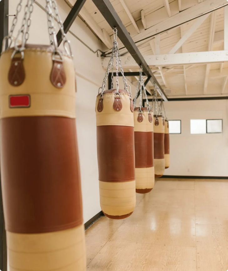 Punching Bags